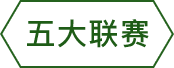 五大联赛